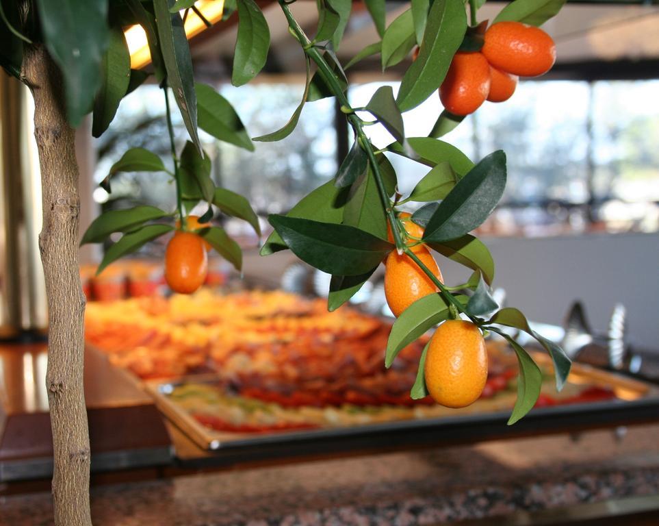 Hotel Marina Uno Lignano Sabbiadoro Extérieur photo